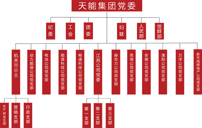 九州酷游建团党委组织架构